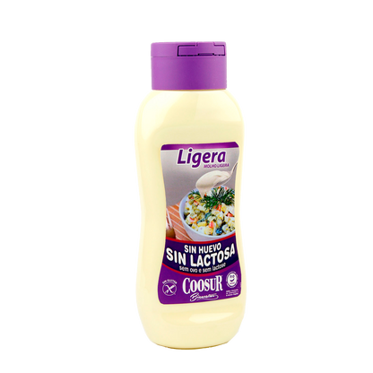 Salsa Ligera sin Huevo y sin Lactosa
